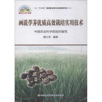 画说荸荠高效优质实用栽培技术