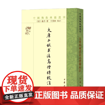 大唐西域求法高僧传校注 义净 著 宗教