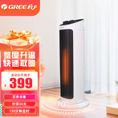 格力(GREE)取暖器家用暖风机2000W功率 两档调节 2小时定时热风机电暖扇电暖扇 NTFH-20z 机械款