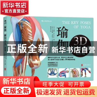 正版 瑜伽3D解剖书:Ⅱ:动作篇 (美)瑞隆(Ray Long)著 北京联合出