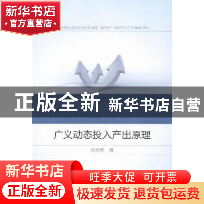 正版 广义动态投入产出原理 冯光明著 中国经济出版社 9787513629