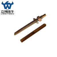 立伟铁牛化学锚栓M22×280/套