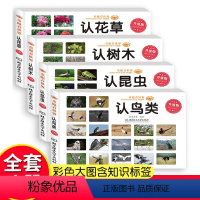 认树木 认鸟类 认昆虫 认花草 [正版]童眼看世界全4册认花草树木昆虫鸟类彩色大图书籍儿童百科全书0-2-3-6岁看图识