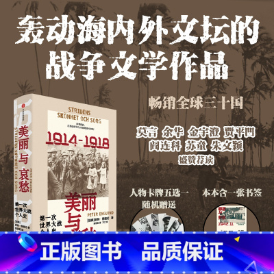 美丽与哀愁:第一次世界大战个人史 [正版]美丽与哀愁 第一次世界大战个人史 皮特恩格伦著 23段触动心弦的真实故事 一战