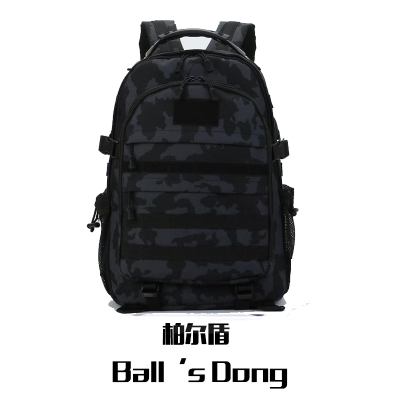 柏尔盾 背包 460*320*190mm 一个黑色