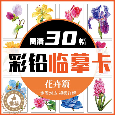 [醉染正版]彩铅临摹卡花卉篇30幅 一线美誉步骤对应视频详解美术绘画卡片兴趣高清原创