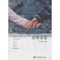 音像爱到深处毛少真 著