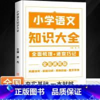 [人手一册]小学语文基础知识大全 二年级上 [正版]2024新版默写能手计算能手一二三四五六年级上册语文数学英语听力能手