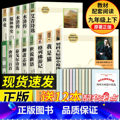 [人教版13册]九上+九下全套课外书 [正版]简爱和儒林外史九年级下册必读名著人民教育出版社完整阅读无删减初中生初三上册