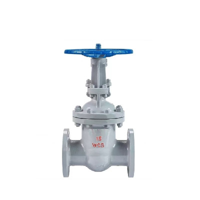 伟鹏双兴 铸钢法兰式闸阀 DN50 台