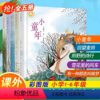 儿童诗丛书《小童年+麦田+诗行+风车+做梦》全套5册 [正版]当代华文儿童诗丛书小童年回望麦田田野的诗行雪花里的风车有一