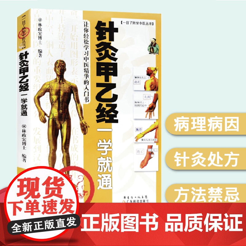针灸甲乙经一学就通 一目了然学中医丛书 林政宏编著 图文详解 病理病因 针灸处方 清晰图解 针灸经络穴位挂图书籍 针灸治