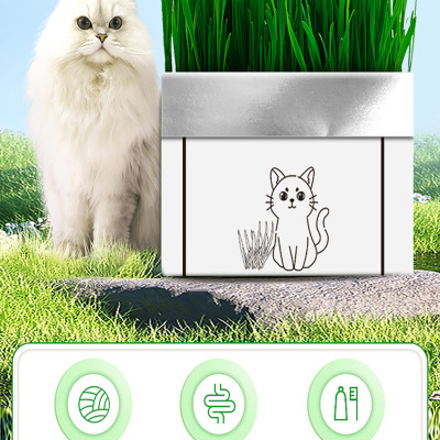 [补贴10%]猫草盆栽化毛草种子非已种好懒人小麦种子猫咪零食品水培营养种植