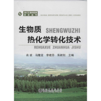 音像生物质热化学转化技术肖波 等 主编