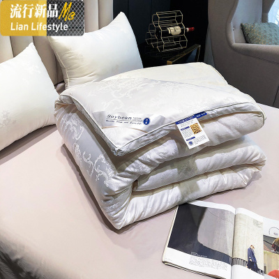 大豆纤维被子被芯加厚冬被棉夏被保暖棉春秋被夏凉被空调被 三维工匠