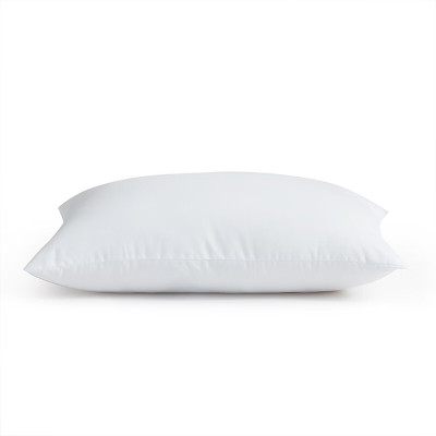 红秀世纺 HXGZT001 48*74cm 枕头 1 件/个(计价单位:个) 白色
