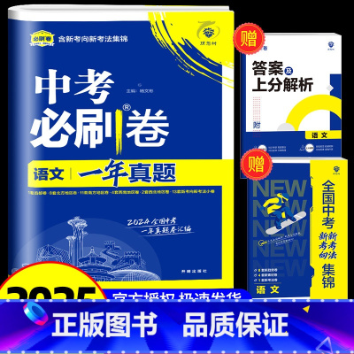 语文 初中通用 [正版]2025新版全国中考真题卷 一年真题语文数学英语物理化学历史道德生物地理会考真题卷资料模拟试卷必