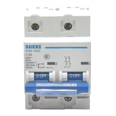 赛驰科技(SAICKG) SCK3-125/2 2P C100 低压空气开关 (单位台) 蓝白
