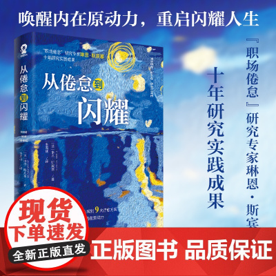 从倦怠到闪耀 琳恩·斯宾塞 朱雪涵 译 北方文艺出版社 正版书籍