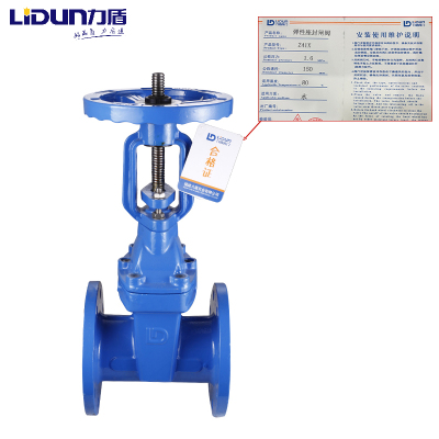 力盾 法兰明杆弹性座封闸阀 6541 DN150 台