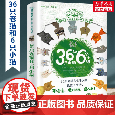 36只老猫和6只小猫 摆渡船当代世界儿童文学金奖书系 小学生二年级三年级课外书阅读书籍纽伯瑞获奖国外经典寒暑假书目新华
