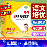 [ 活动中]53总复习 语文 小学一年级 [正版]一年级二年级三年级四年级五年级六年级上下册语文英语 小学阅读理解专