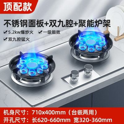 志高CHIGO煤气灶双灶家用燃气灶嵌入式台式天然气液化气猛火炉具天燃气_顶配钢面双猛九腔聚能_液化气