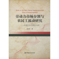 音像劳动力市场分割与农民工流动研究张洪铭 著