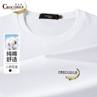 鳄鱼恤CROCODILE 纯棉男士T恤休闲中青年柔软亲肤长袖衫