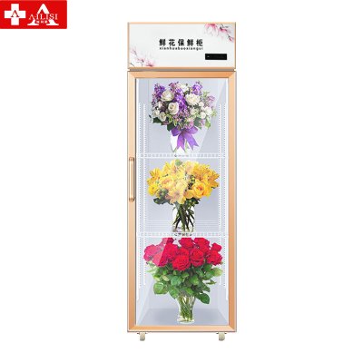 埃利斯(AILISI)鲜花保鲜柜XC-450SL风冷保鲜柜风冷商用展示柜冷藏柜鲜花植物柜花店立式陈列柜