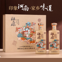 酒祖杜康酒印象河南 纯粮食酒 50度500ml*2瓶礼盒装