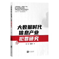 音像大数据时代信息产业犯罪研究蒋琼,陈丽玲