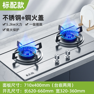 志高(CHIGO)煤气灶双灶家用燃气灶嵌入式台式天然气液化气猛火炉具天燃气 标配加厚钢面铜制火盖