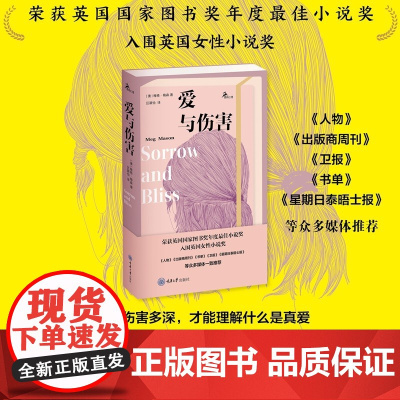 爱与伤害 梅格·梅森 著 心理学