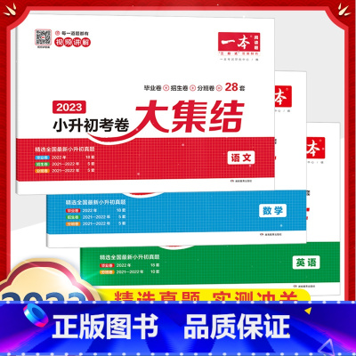 小升初考卷大集结(语+数+英) 小学升初中 [正版]2025一本小学语文毕业升学阅读训练100篇六年级阅读理解训练上下册