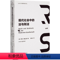 [正版]现代社会中的法与刑法