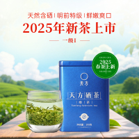 [中华特色]2025年新茶春茶安徽天方茶叶 100g/听 雨前一级高山炒青绿茶 石台硒茶 华东