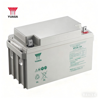 汤浅YUASA铅酸蓄电池NPL65-12H 含配件及卸货 只