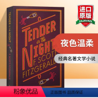 [正版]夜色温柔 英文原版 Tender is the Night 经典名著文学小说 菲茨杰拉德 F Scott Fi