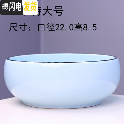 三维工匠大号铜钱水培花盆陶瓷金钱简约水养一叶莲碗莲水仙花 水培(月色)一个特大号 大花盆容器