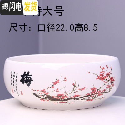 三维工匠大号铜钱水培花盆陶瓷金钱简约水养一叶莲碗莲水仙花 水培(红梅)一个特大号 大花盆容器