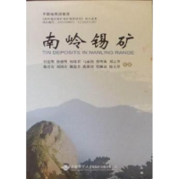 正版新书]南岭锡矿付建明9787562525547