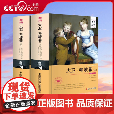 [央视网]大卫 考坡菲 上 下 狄更斯著 长篇小说青少年成人版中学生课外阅读书籍 3D