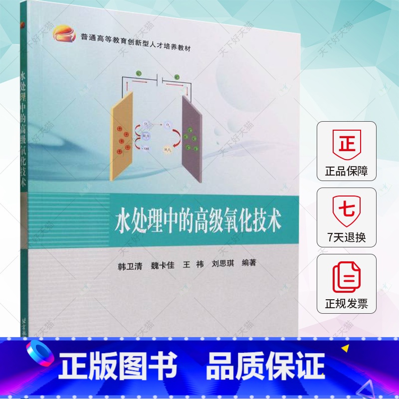 水处理中的高级氧化技术 [正版]水处理中的氧化技术 韩卫清 臭氧芬顿电化学光化学湿式氧化氧化技术降解机理工程应用书籍 北