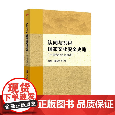 认同与共识 国家文化安全史略 樊伟等 著 历史