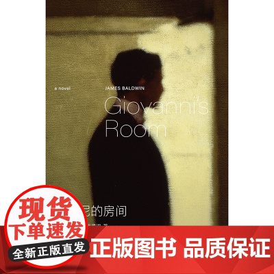 乔瓦尼的房间 豆瓣2024年度外国小说榜 群岛图书 [美]詹姆斯·鲍德温 著 李佳纯 译 爱情经典 附科尔姆·托宾精彩导