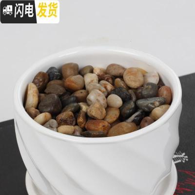 三维工匠多肉植物花盆铺表面用品小石头沙子珍珠岩 鹅软石300克 小花盆容器