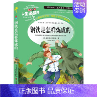 钢铁是怎样炼成的[彩绘版] [正版]海底两万里骆驼祥子老人与海论语城南旧事寄小读者呼兰河传柳林风声朝花夕拾呐喊鲁迅一二年