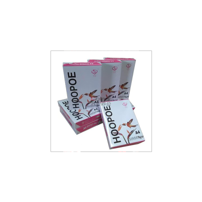 宣皇 白色幸运鸟a4打印纸80g复印纸500张单包办公专用纸学生用纸a4机打印白纸 白色幸运鸟A4 80G 8包/箱