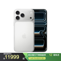 Apple iPhone 17 Pro Max 512G 银色 移动联通电信5G手机